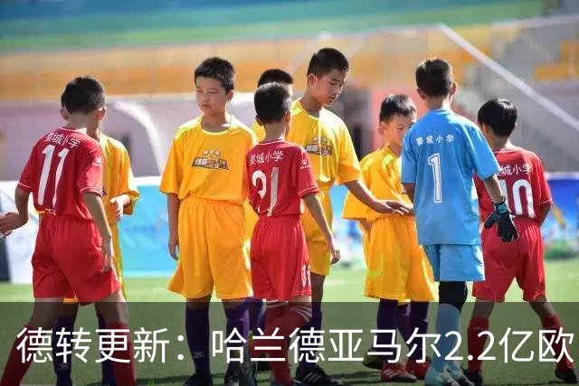 德转更新：哈兰德亚马尔2.2亿欧 安德森沃齐尼亚领涨