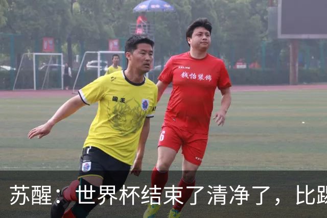 苏醒：世界杯结束了清净了，比踢到一半就淘汰的那种清净好